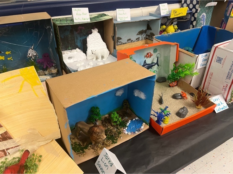 1st grade diorama