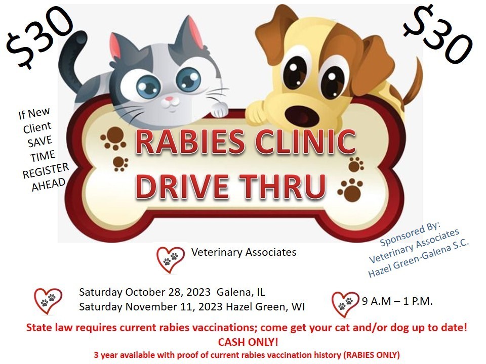 Rabies Clinic flyer